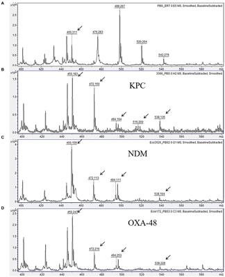 Detection of carbapenemase-producing Enterobacterales by means of matrix-assisted laser desorption ionization time-of-flight mass spectrometry with ertapenem susceptibility-testing disks as source of carbapenem substrate